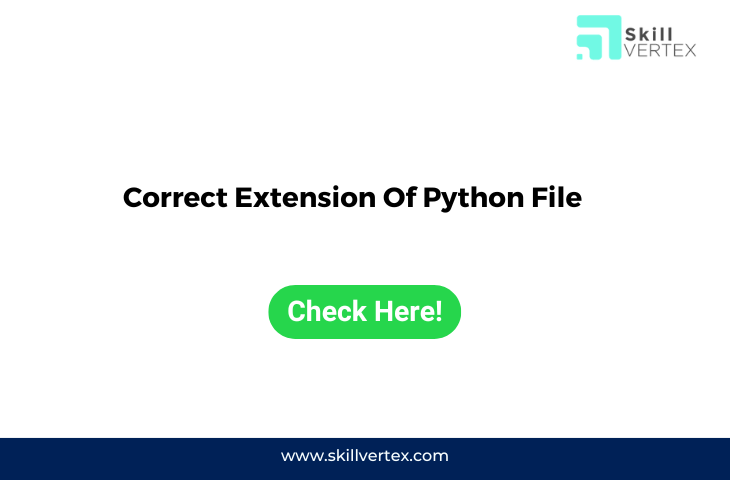 Correct Extension Of Python File