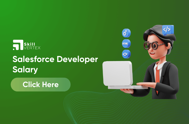 Sale force Developer