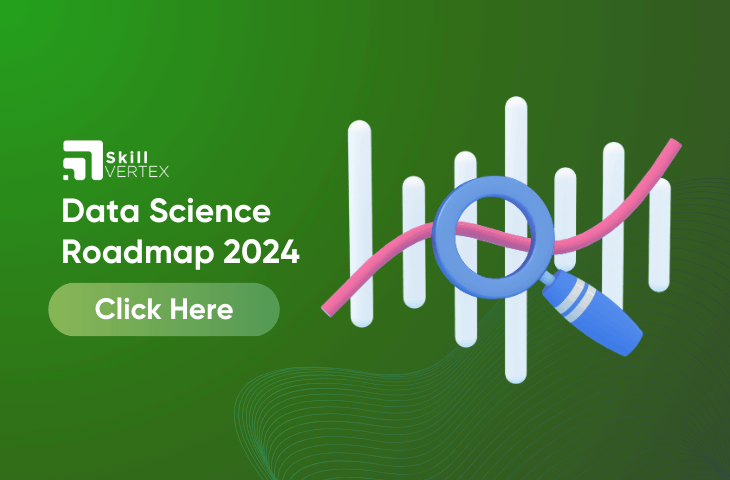 Data Science Roadmap 2024