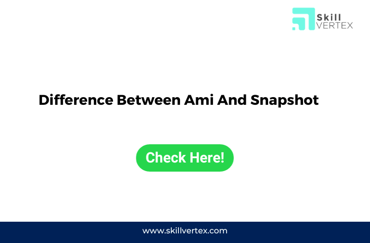 Difference Between Ami And Snapshot